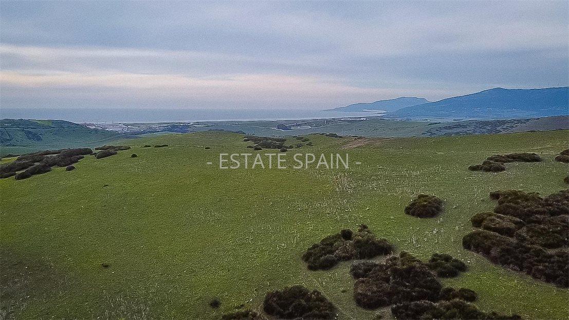 Участок в Тарифе 230 м2 №COM24365BE65  - Продажа - 8 large