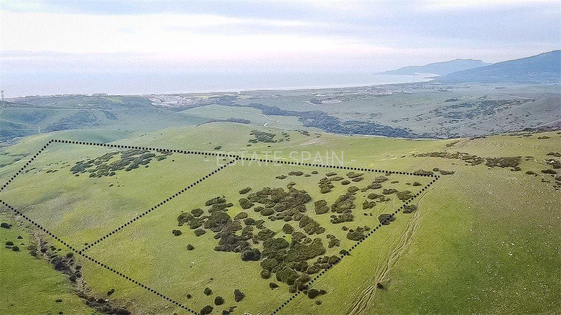 Участок в Тарифе 230 м2 №COM24365BE65  - Продажа - 1 large