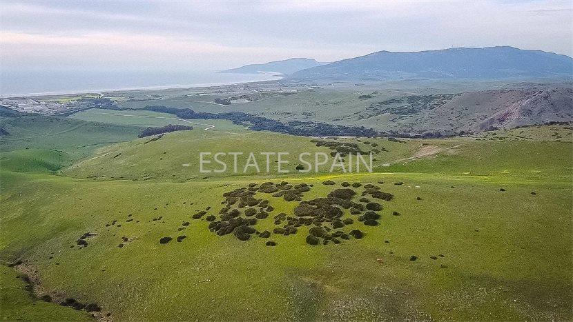 Участок в Тарифе 230 м2 №COM24365BE65  - Продажа - 2 preview