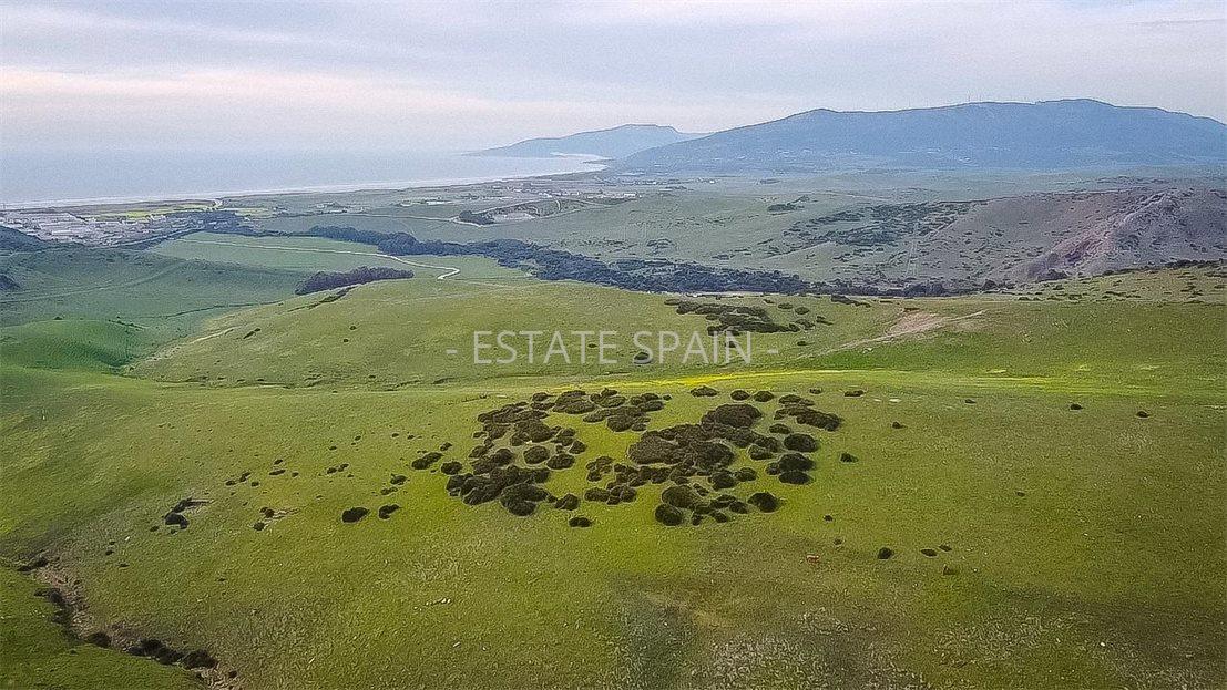 Участок в Тарифе 230 м2 №COM24365BE65  - Продажа - 2 large